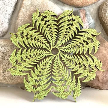 Rosette of the Barnsley Fern