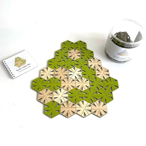 Socolar-Taylor Aperiodic Tiles - image 2